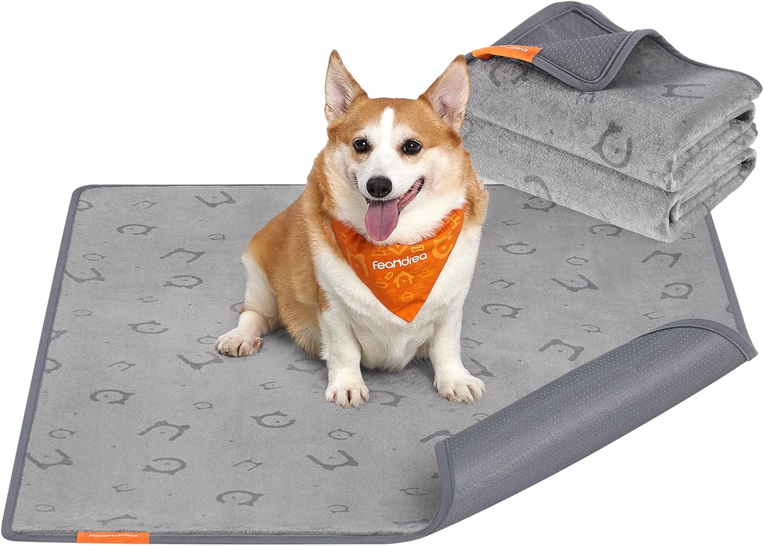 Seleção dos melhores produtos para animais de estimação da semana: comparativo de fontes com filtro, comedouros inteligentes, trackers GPS e muito mais.
