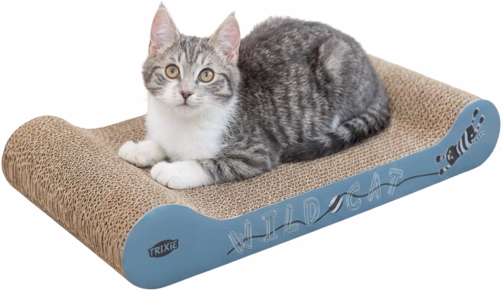Top 10 Essenciais da Semana: As Escolhas Recomendadas PetZone Partilhar a casa com cães e gatos traz momentos únicos, mas também desafios diários de higiene, desgaste de mobília e rotinas de passeio. Todas as semanas, na PetZone, reunimos uma seleção rigorosa dos produtos mais funcionais, bem avaliados e com provas dadas pelos tutores.