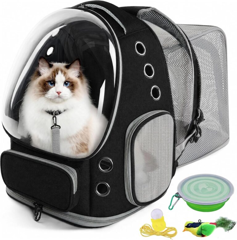 Melhores Produtos para Animais de Estimação: Top 10 Semanal – PetZone
