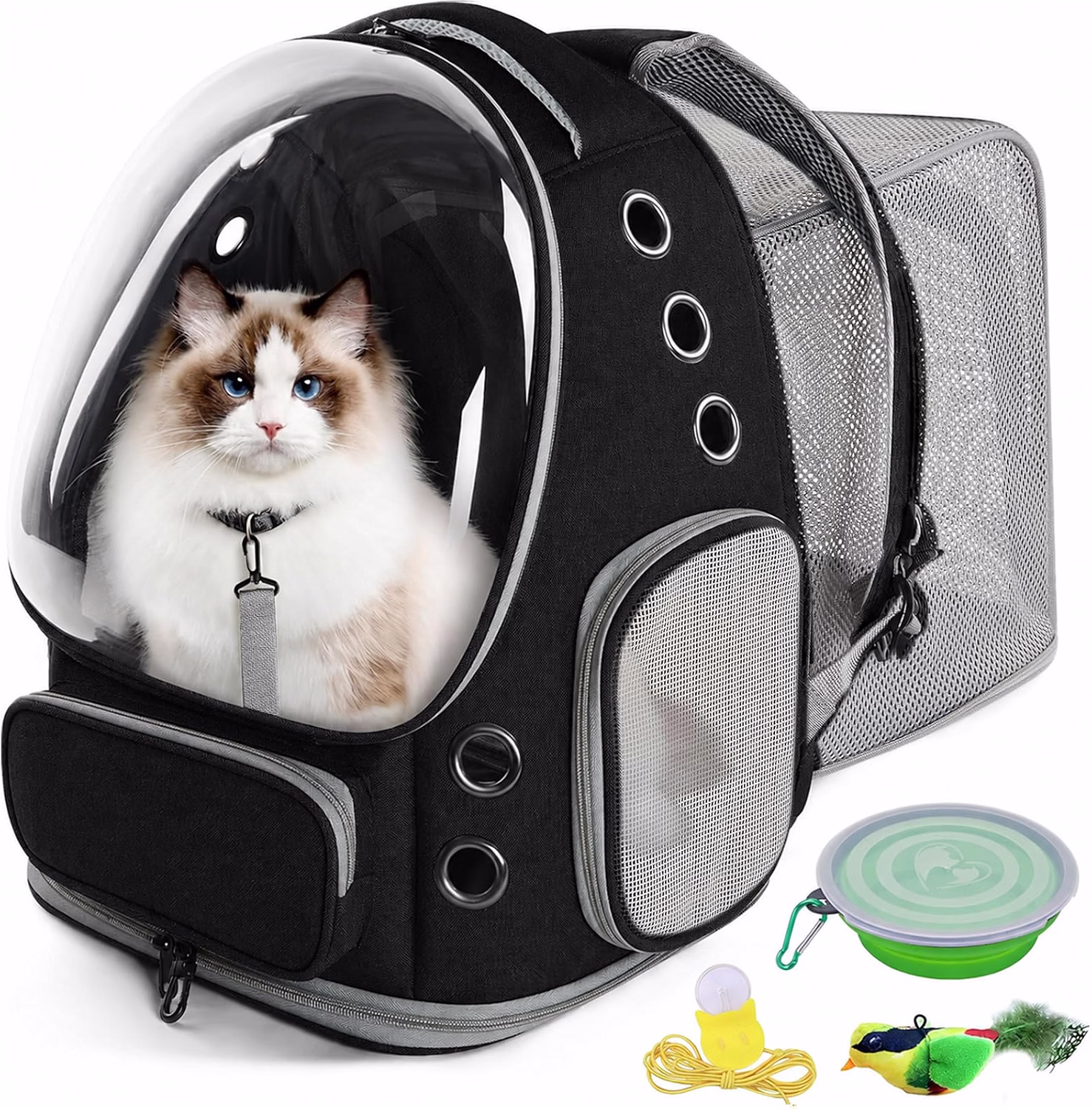 Conhece o top 10 semanal da PetZone com os acessórios mais recomendados para cães, gatos, aves e roedores. Dicas práticas de conforto, enriquecimento ambiental e segurança.
