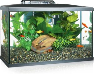 Como Montar o Seu Primeiro Aquário em Casa com Sucesso Aprenda a montar o seu primeiro aquário em casa passo a passo. Evite erros comuns e garanta um habitat saudável e bonito para os seus peixes.