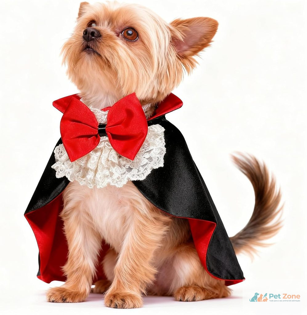 Disfarces de Halloween para Pets: 5 Ideias Divertidas e Cuidados de Segurança Capa de vampiro com gola vermelha para animais de estimação