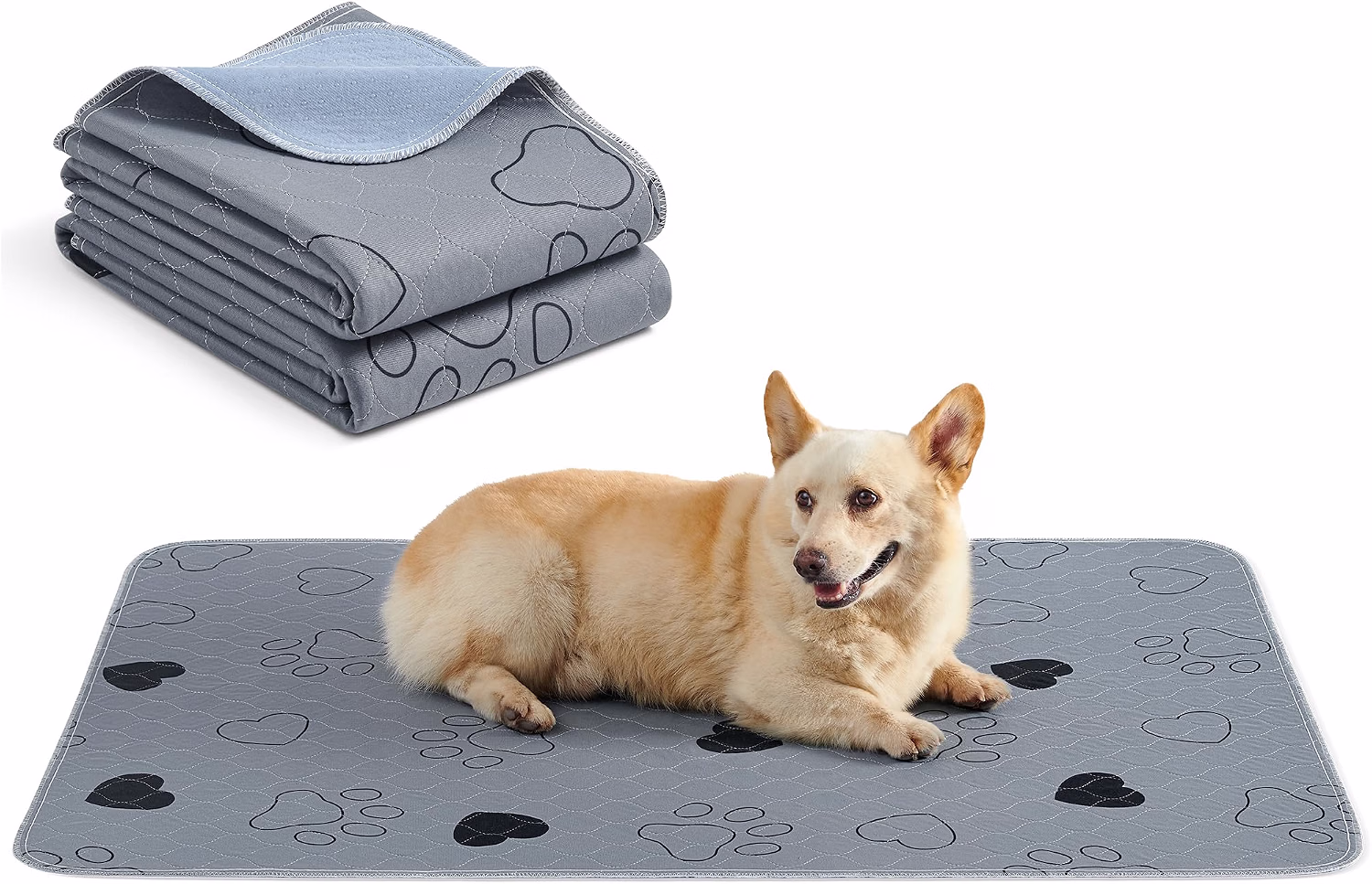 Tapetes Laváveis para Cães
