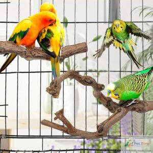 Top 10 Produtos Recomendados para Pets: As Melhores Escolhas da Semana Fica a conhecer o Top 10 de produtos recomendados para pets desta semana, criteriosamente selecionados pela funcionalidade e durabilidade.
