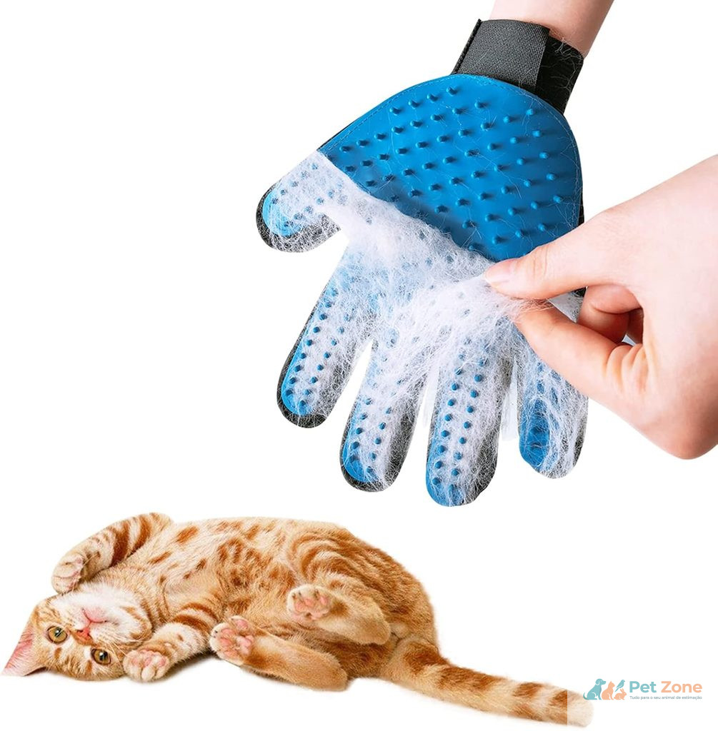 Top 10 Produtos Recomendados para Pets: As Melhores Escolhas da Semana Fica a conhecer o Top 10 de produtos recomendados para pets desta semana, testados e selecionados a pensar na durabilidade e no bem-estar diário.