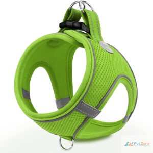 Top 10 Produtos Recomendados para Pets: As Melhores Escolhas da Semana Fica a conhecer o Top 10 de produtos recomendados para pets desta semana, criteriosamente selecionados pela funcionalidade e durabilidade.