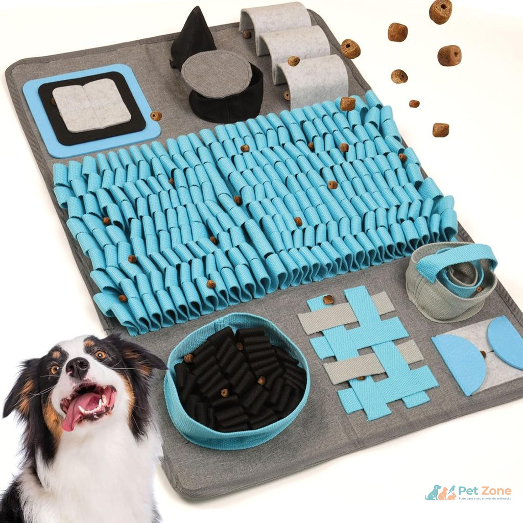 Top 10 Produtos Recomendados para Pets: As Melhores Escolhas da Semana Fica a conhecer o Top 10 de produtos recomendados para pets desta semana, testados e selecionados a pensar na durabilidade e no bem-estar diário.