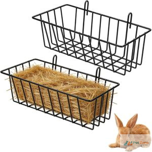 Top 10 Produtos Recomendados para Pets: As Melhores Escolhas da Semana Fica a conhecer o Top 10 de produtos recomendados para pets desta semana, criteriosamente selecionados pela funcionalidade e durabilidade.